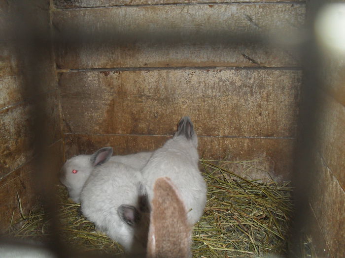 SDC11281 - California