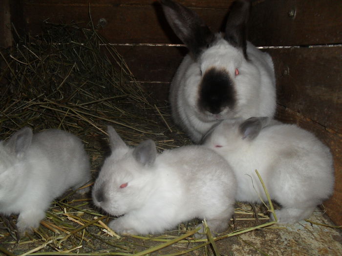 SDC11284 - California