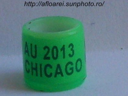 au 2013 chicago - AMERICA