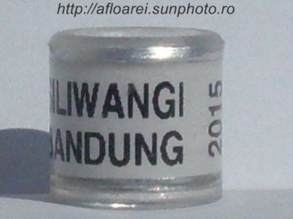 siliwangi bandung 2015