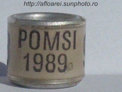 pomsi 1989 - INDONEZIA