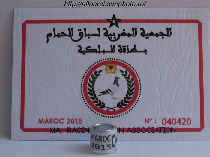 maroc 2015 alb