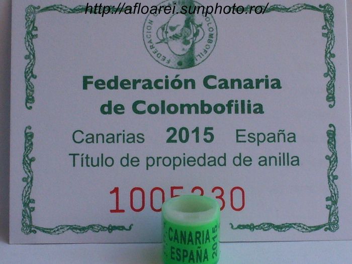 fcc canaria espana 2015 comby - CANARIA