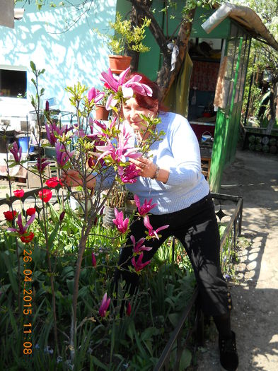 051 - FLORI DIN GRADINA MAMEI MELE 2015