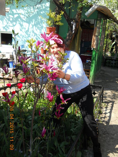 052 - FLORI DIN GRADINA MAMEI MELE 2015