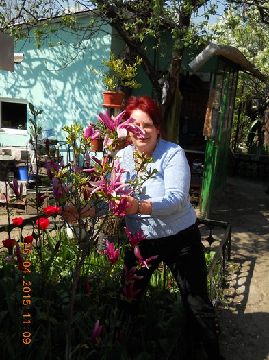 054 - FLORI DIN GRADINA MAMEI MELE 2015