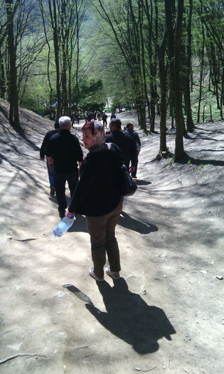 IMG_20150423_114310[1]