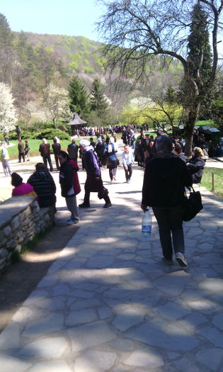 IMG_20150423_115011[1] - Arsenie Boca