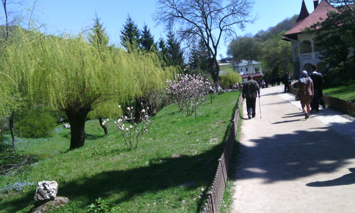 IMG_20150423_120854[1]