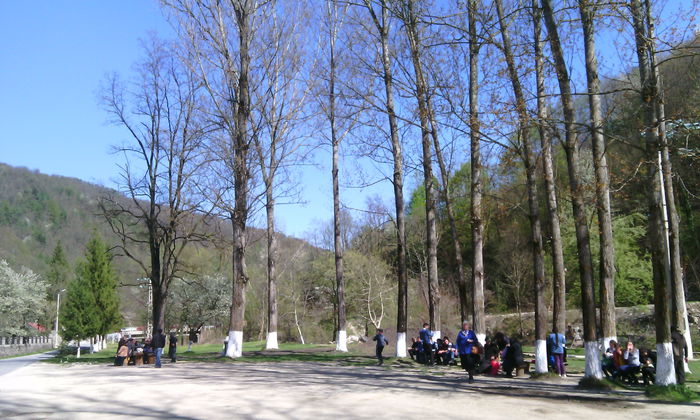 IMG_20150423_155828[1]