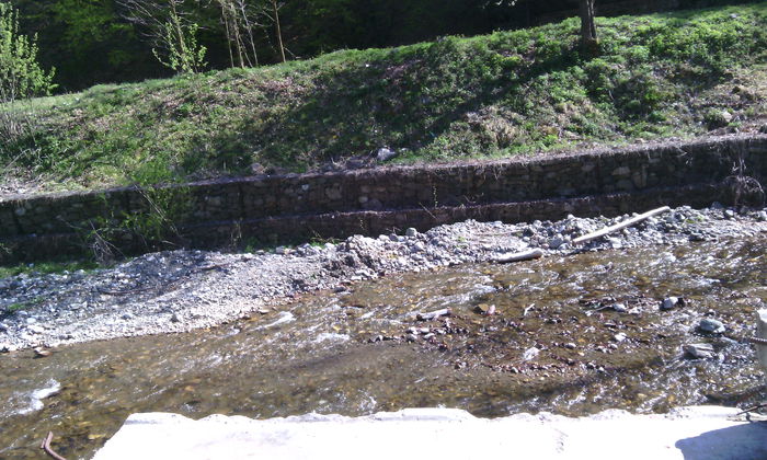 IMG_20150423_155935[1]