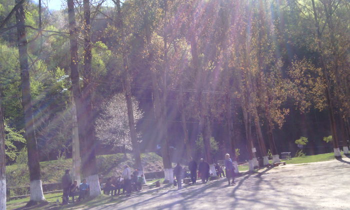 IMG_20150423_160204[1]