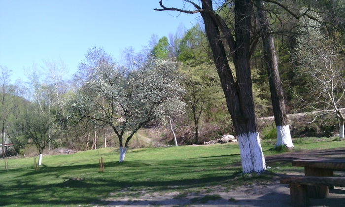 IMG_20150423_160213[1]