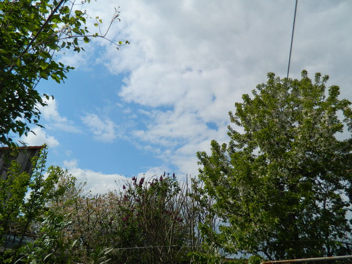 DSCN4583