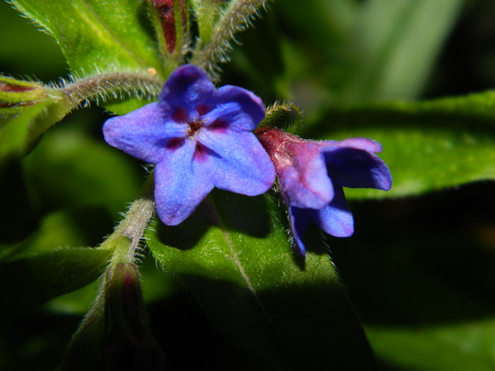 DSCN5307