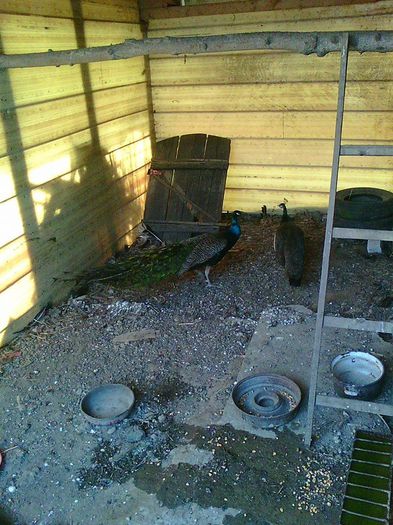 10408956_967417376636259_1849073870980300623_n (1)