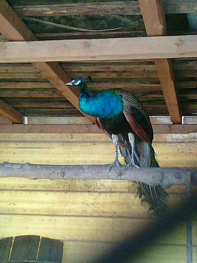 11193375_967417759969554_2388383551176633686_n