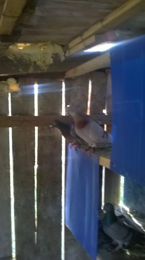 WP_20150426_031