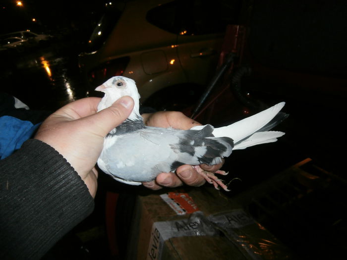 Data in Brasov la Ioan P