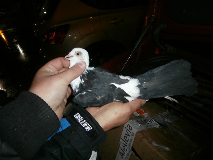 Data in Brasov la Ioan P