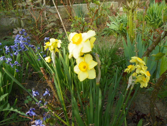 25 apr. 064 - Primavara 2015