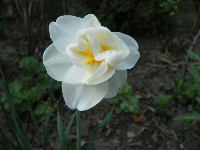 narcise Bridal Crown - Primavara 2015
