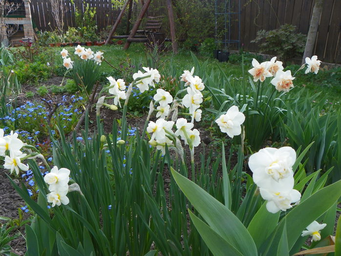 Cheerfulness, Replete si Pink Charm - Primavara 2015