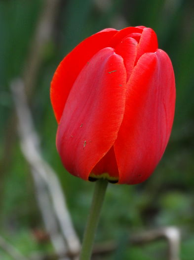 27.04.2015 - b-primavara 2015