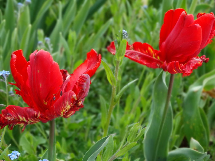 27.04.2015 - b-primavara 2015