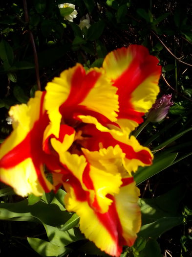 IMG_20150425_165405