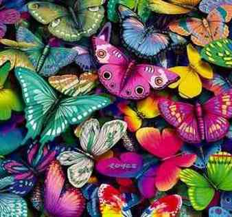 fluturi colorati - fluturasi colorati