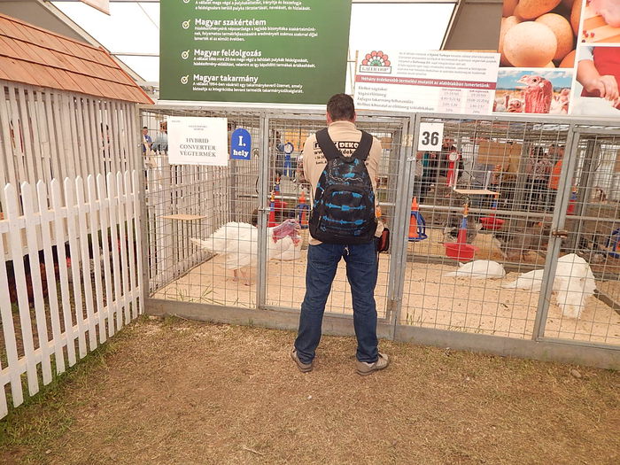 DSCN0113 - Hodmezovasarhely 27-04-2015