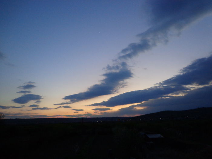 DSC06924
