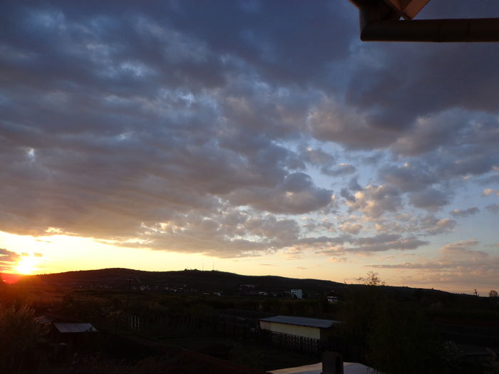 DSC06906