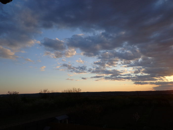 DSC06905