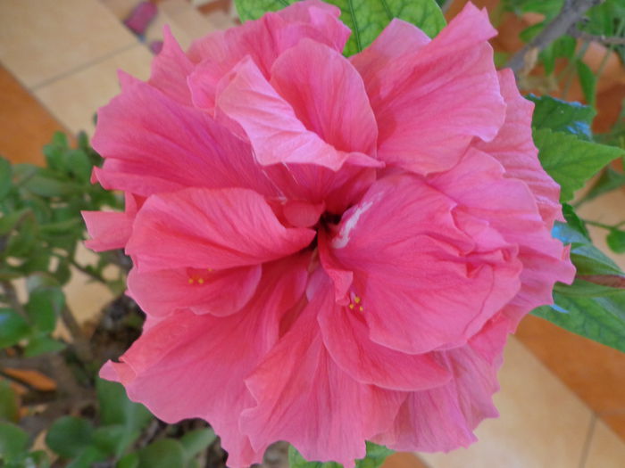 DSC07014