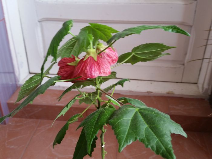 20150429_140113