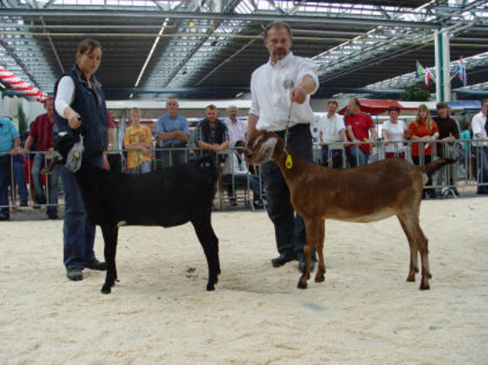 Black Sabatini v IJsselstee, KB IJsselstee, Nieuwegein