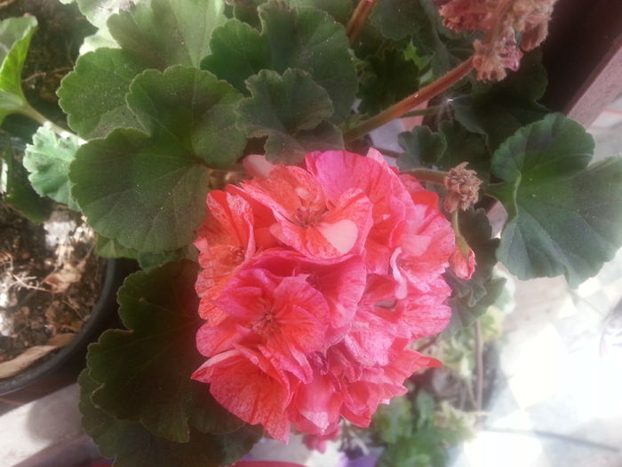 20150428_092631