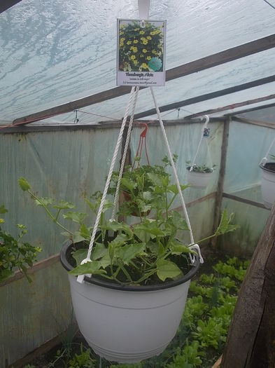 DSCN0762 - Sera 2015