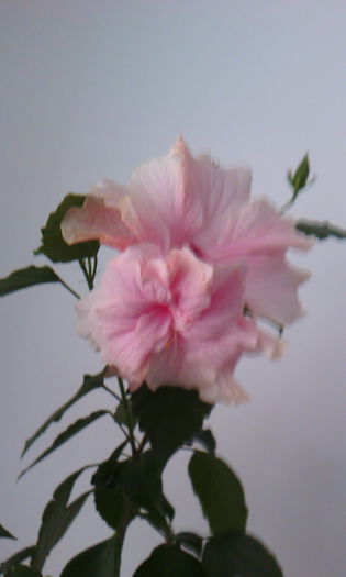 2015-04-29 17.57.20