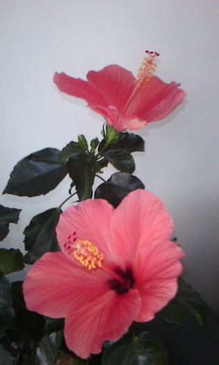 2015-04-29 18.05.27