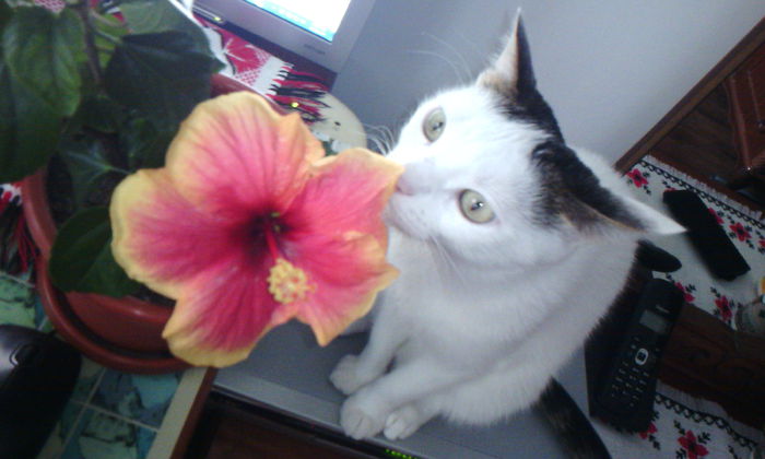2015-04-29 18.08.06 - FELIX