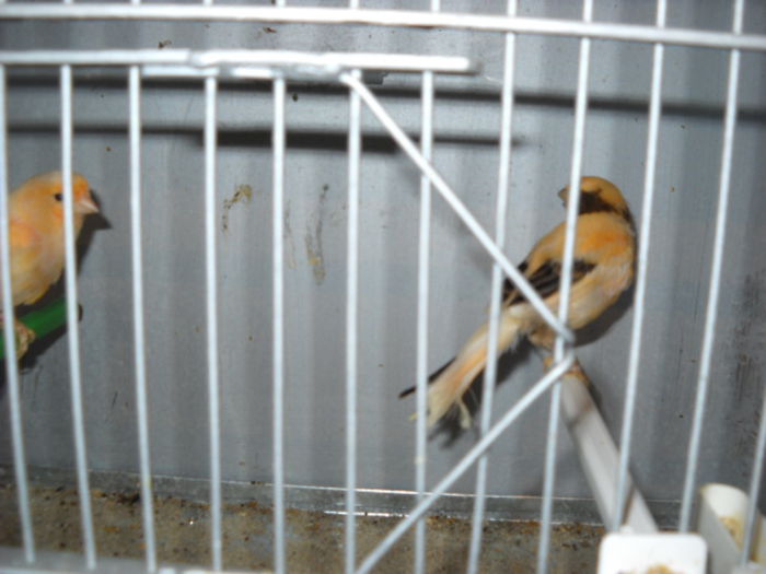 Picture 3067