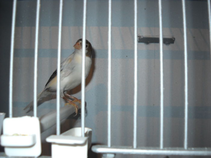 Picture 3048