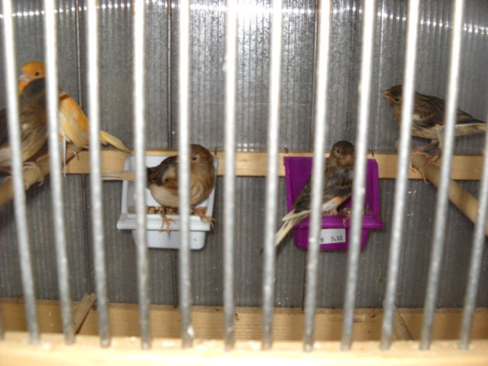 Picture 3025