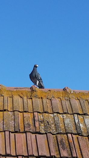 20150424_174351