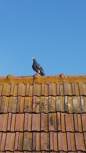 20150424_174334