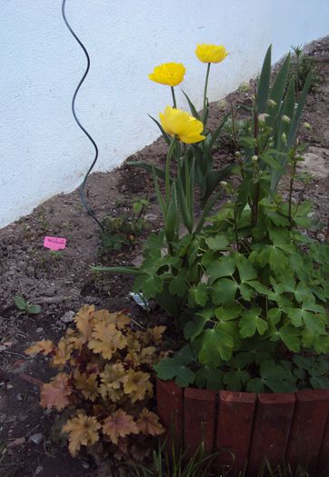 DSC05948
