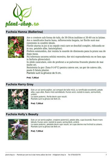 11001530_1047662151917650_8318105852538788654_o